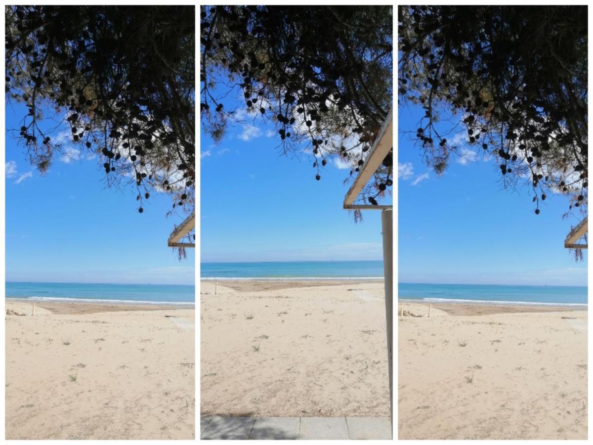 Hotel Petit Silvi Marina Dış mekan fotoğraf