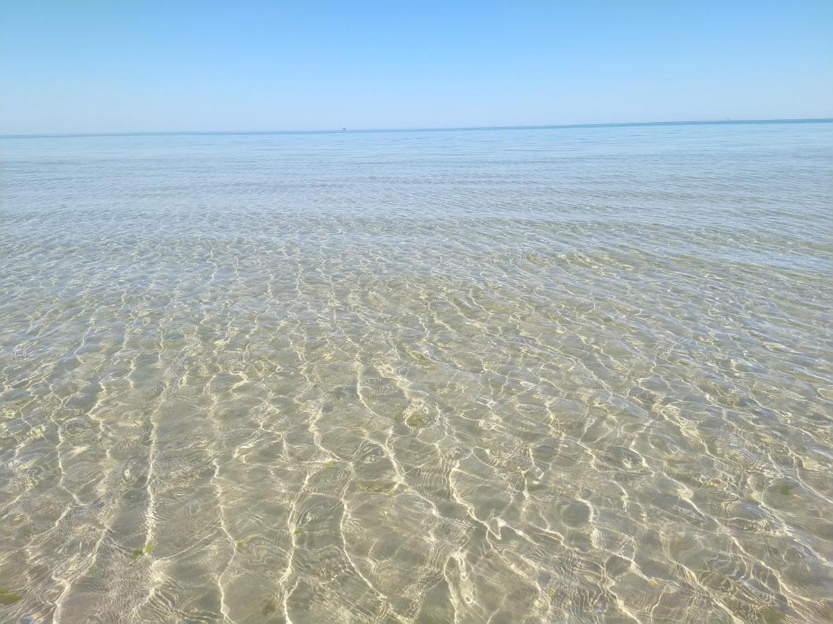 Hotel Petit Silvi Marina Dış mekan fotoğraf