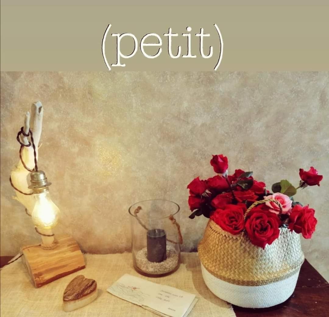 Hotel Petit Silvi Marina Dış mekan fotoğraf