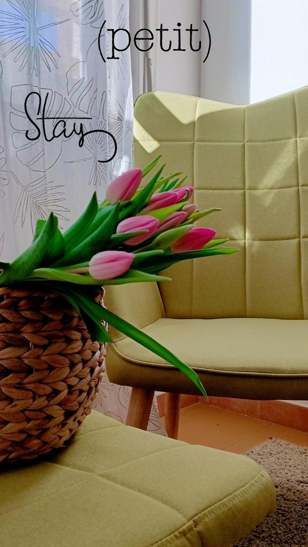 Hotel Petit Silvi Marina Dış mekan fotoğraf