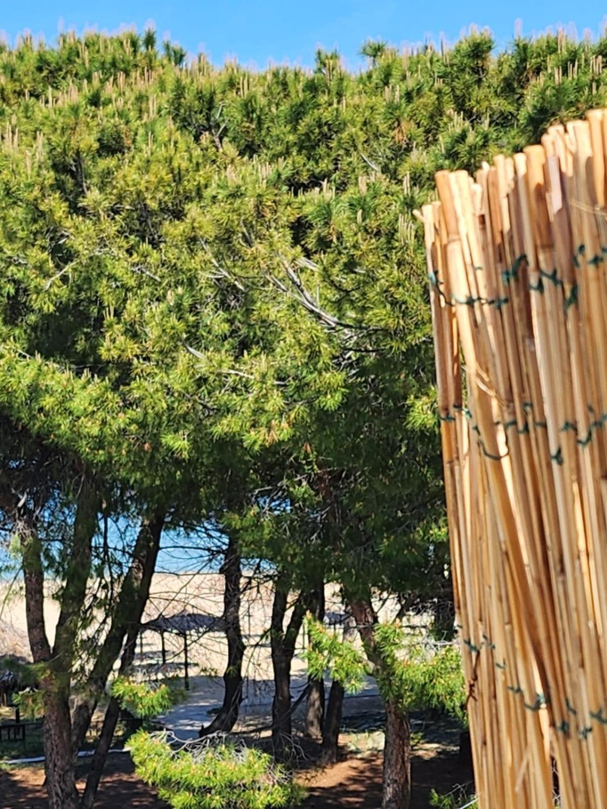 Hotel Petit Silvi Marina Dış mekan fotoğraf