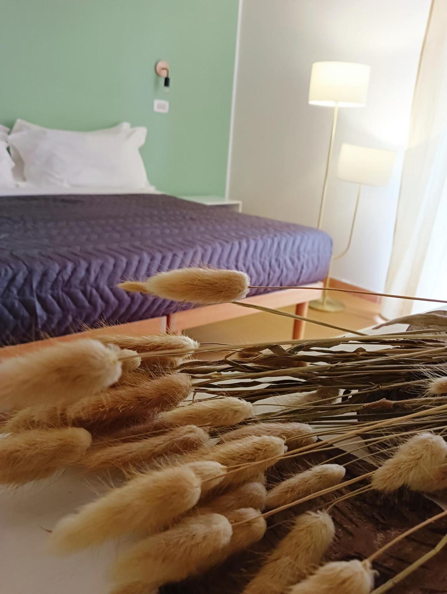Hotel Petit Silvi Marina Dış mekan fotoğraf