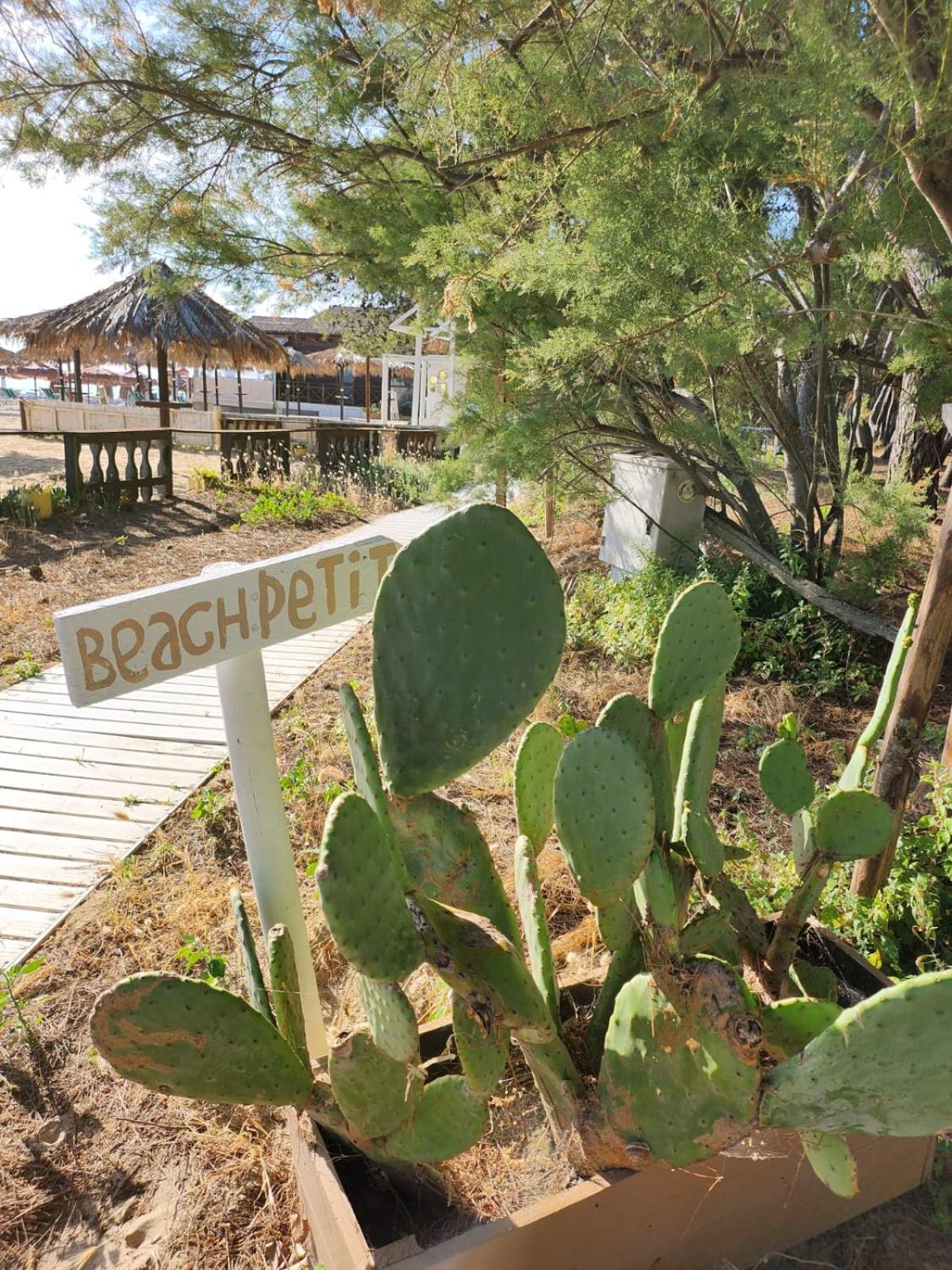 Hotel Petit Silvi Marina Dış mekan fotoğraf