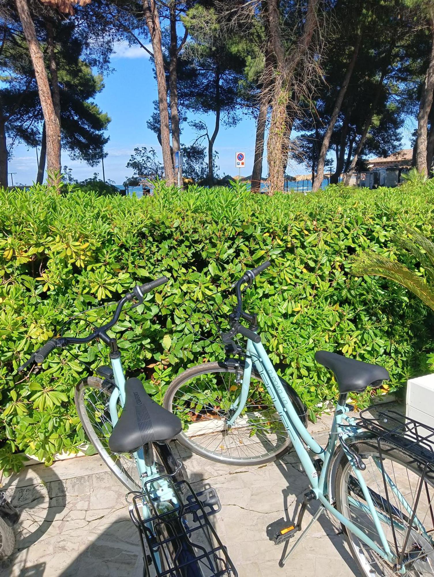 Hotel Petit Silvi Marina Dış mekan fotoğraf