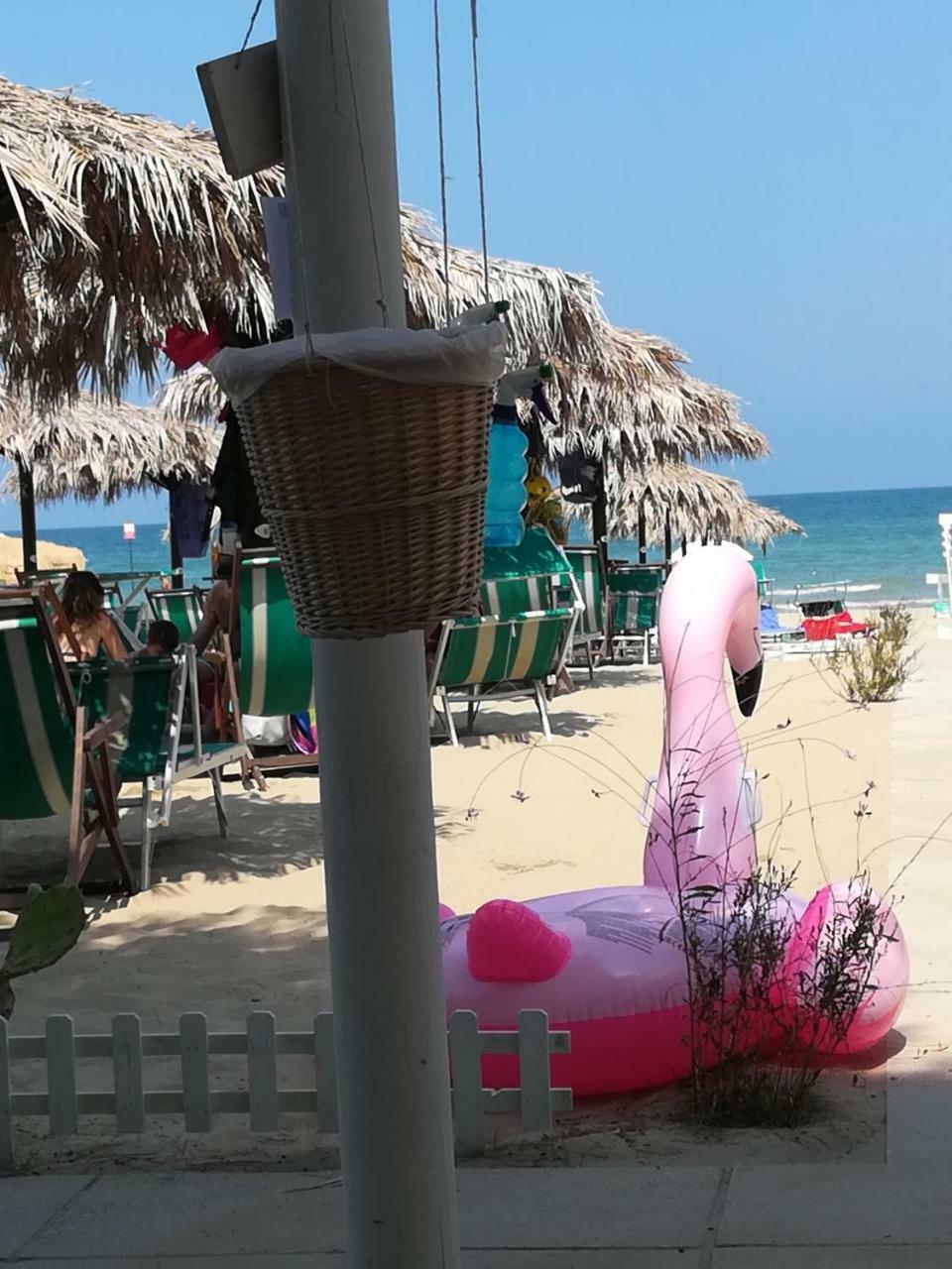 Hotel Petit Silvi Marina Dış mekan fotoğraf