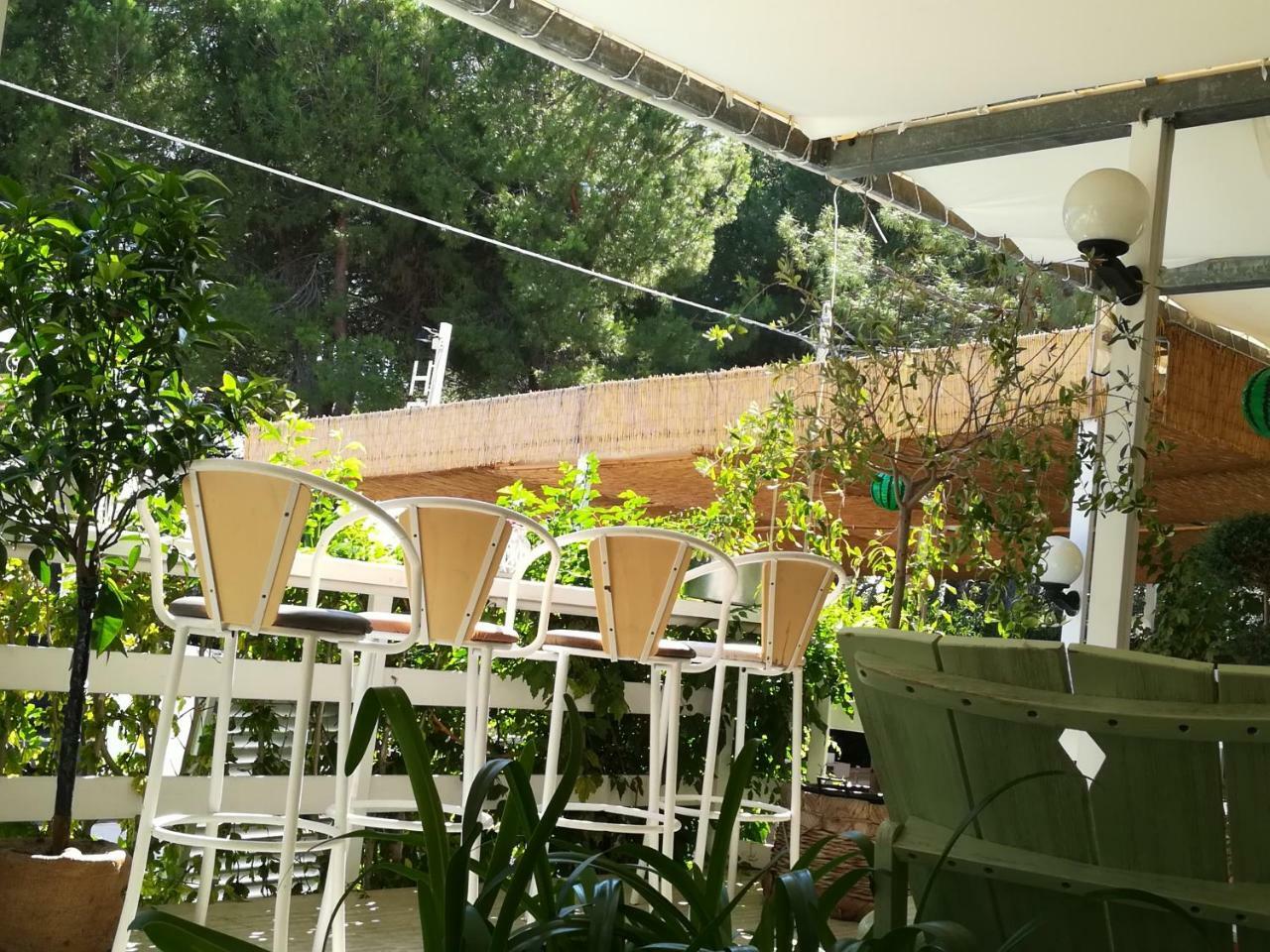 Hotel Petit Silvi Marina Dış mekan fotoğraf