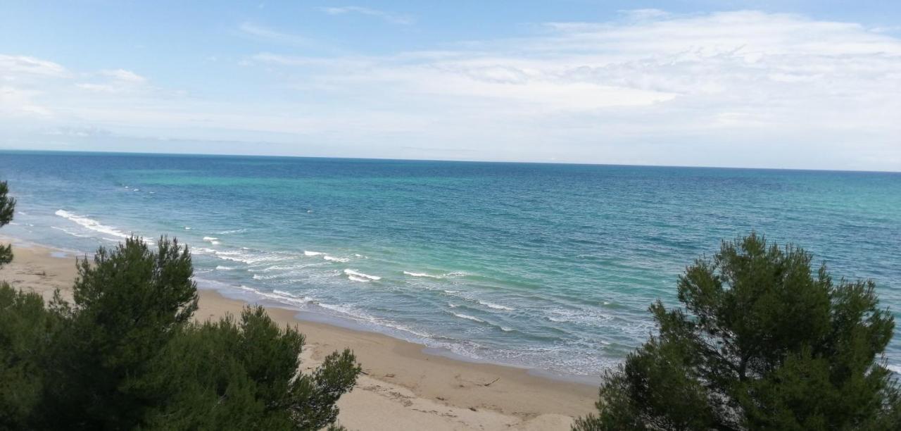 Hotel Petit Silvi Marina Dış mekan fotoğraf